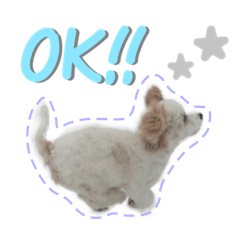 [LINEスタンプ] stamp015