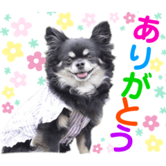 [LINEスタンプ] モコちゃんのかわいい日常スタンプ