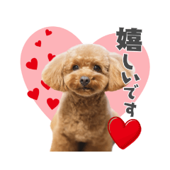 [LINEスタンプ] トイプー結愛の日常