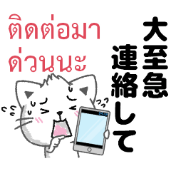[LINEスタンプ] タイ語と日本語毎日使える連絡用の画像（メイン）