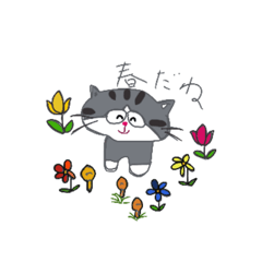 [LINEスタンプ] 猫のすずちゃんスタンプ