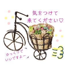 [LINEスタンプ] わたしの癒し♡多肉植物たち①