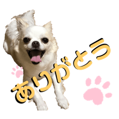 [LINEスタンプ] ビリーFamily2