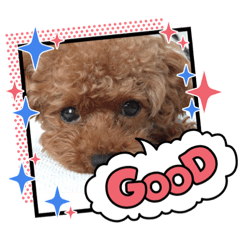 [LINEスタンプ] 虎太郎のあいさつ！