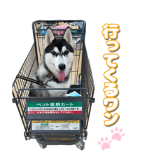 [LINEスタンプ] こうちゃん＆興新工業