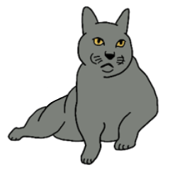 [LINEスタンプ] くまという名のねこ