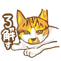 [LINEスタンプ] meow meow meow cats