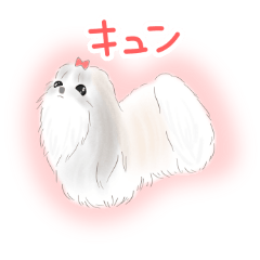 [LINEスタンプ] ふんわりシーズー（フルコート編）