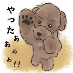 [LINEスタンプ] トイプードルとわくん