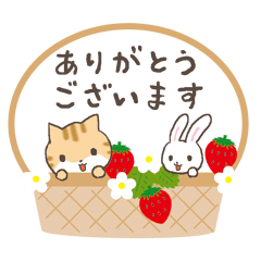 [LINEスタンプ] なかよしキャットラビー【春の日常】