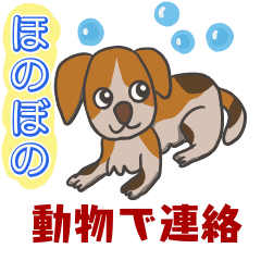 [LINEスタンプ] ★動物で連絡★