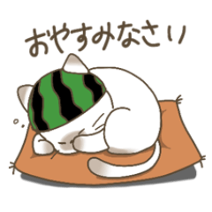 [LINEスタンプ] すいかぶるねこの日常2@ぴたろ