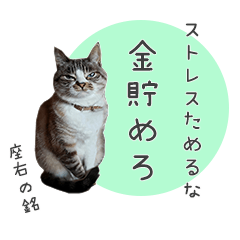 [LINEスタンプ] タマの一言 (タマに敬語)