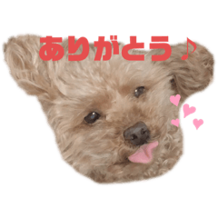 [LINEスタンプ] チェリーさん＆レモンくん