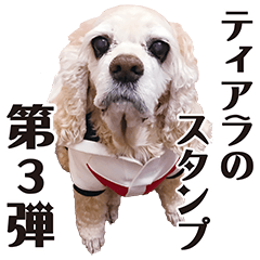 [LINEスタンプ] アメリカンコッカー"ティアラ"のスタンプ3