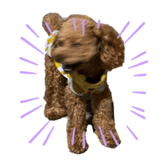 [LINEスタンプ] 壱様②
