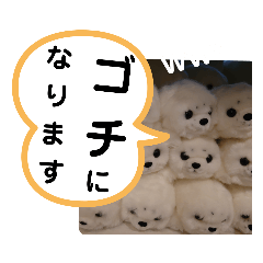 [LINEスタンプ] たけしのスタンプ その17