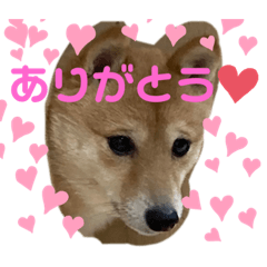 [LINEスタンプ] yasu1022