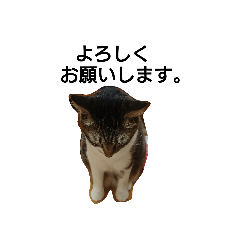 [LINEスタンプ] ルルララスタンプその3