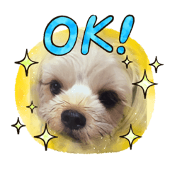 [LINEスタンプ] かなこの愛犬★