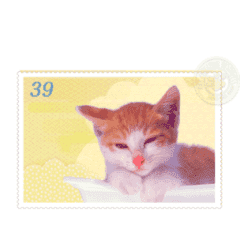 [LINEスタンプ] 切手フレームで猫の可愛い仕草1-3