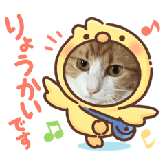 [LINEスタンプ] 僕たちにゃんこ