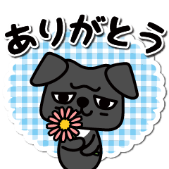 [LINEスタンプ] 黒パグのロクちゃんのご挨拶！