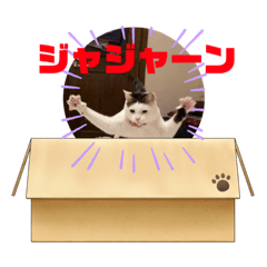 [LINEスタンプ] ぺっとすたんぷ_その5