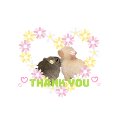 [LINEスタンプ] もふもふのお友達♡