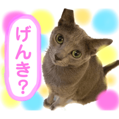 [LINEスタンプ] ルルちゃんpart2