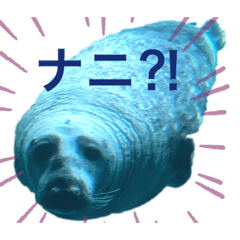 [LINEスタンプ] ゆるっと海の生き物たち