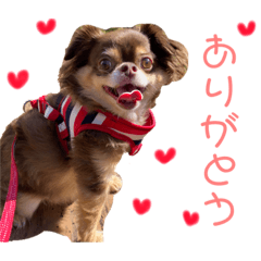 [LINEスタンプ] もっぴすたんぷ♡