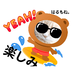 [LINEスタンプ] 愛情日常激情はる