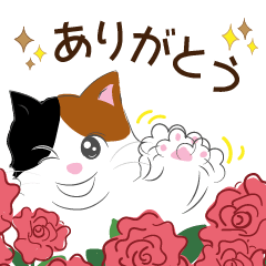 [LINEスタンプ] 元気いっぱい♡大人可愛い猫の挨拶スタンプの画像（メイン）