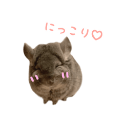 [LINEスタンプ] アンゴラチンチラちびまるくん♡2