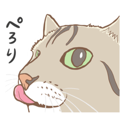 [LINEスタンプ] キジトラのいる日常。