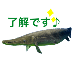 [LINEスタンプ] ゆるっと海の生き物たちPart②