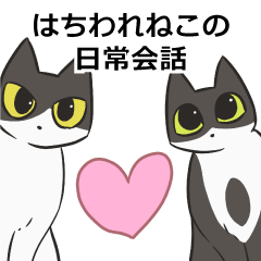 [LINEスタンプ] はちわれねこの日常会話