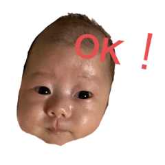 [LINEスタンプ] 僕、日陽くん