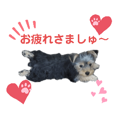 [LINEスタンプ] うちのましゅー