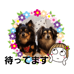 [LINEスタンプ] Kojiromaru＆Jubee 4
