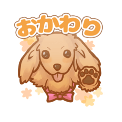 [LINEスタンプ] 愛犬ちゃん｜ミニチュアダックス