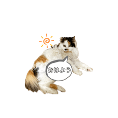 [LINEスタンプ] 美里音スタンプ