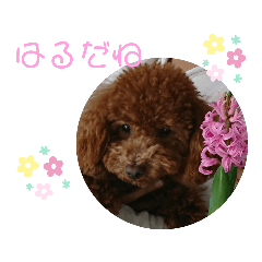 [LINEスタンプ] ティナのスタンプ       〈春〉