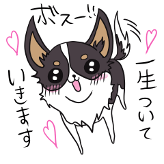 [LINEスタンプ] 3匹の小型犬