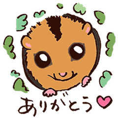 [LINEスタンプ] 森の妖精二ホンヤマネ