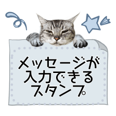 [LINEスタンプ] メッセージ入力可サバトラ猫スタンプの画像（メイン）