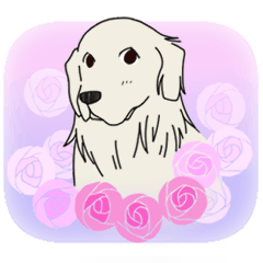 [LINEスタンプ] 【大型犬】ゴールデンレトリーバー