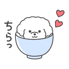 [LINEスタンプ] トイプードルおこめちゃん