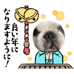 [LINEスタンプ] 2021アレク犬スタンプ